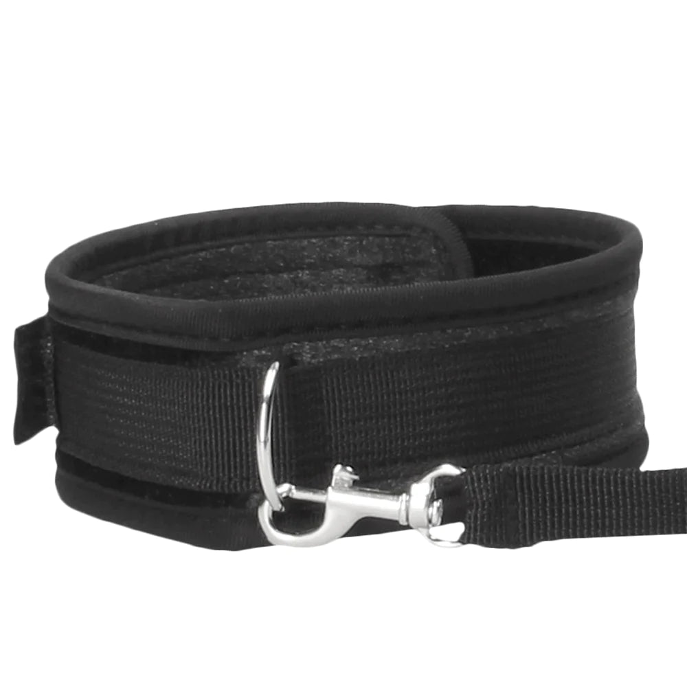Black dog leash with a metal clip on a white background