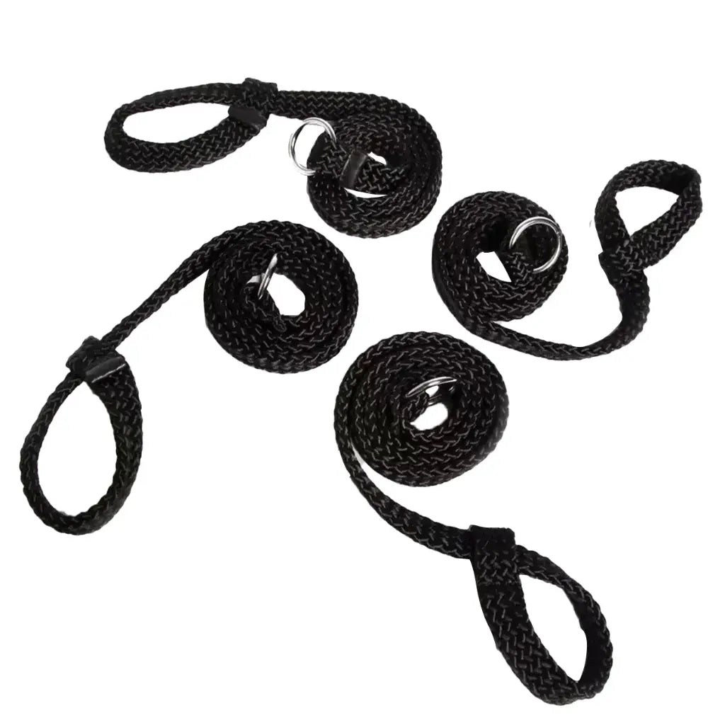 Set of black dog leashes with plastic clips on a white background