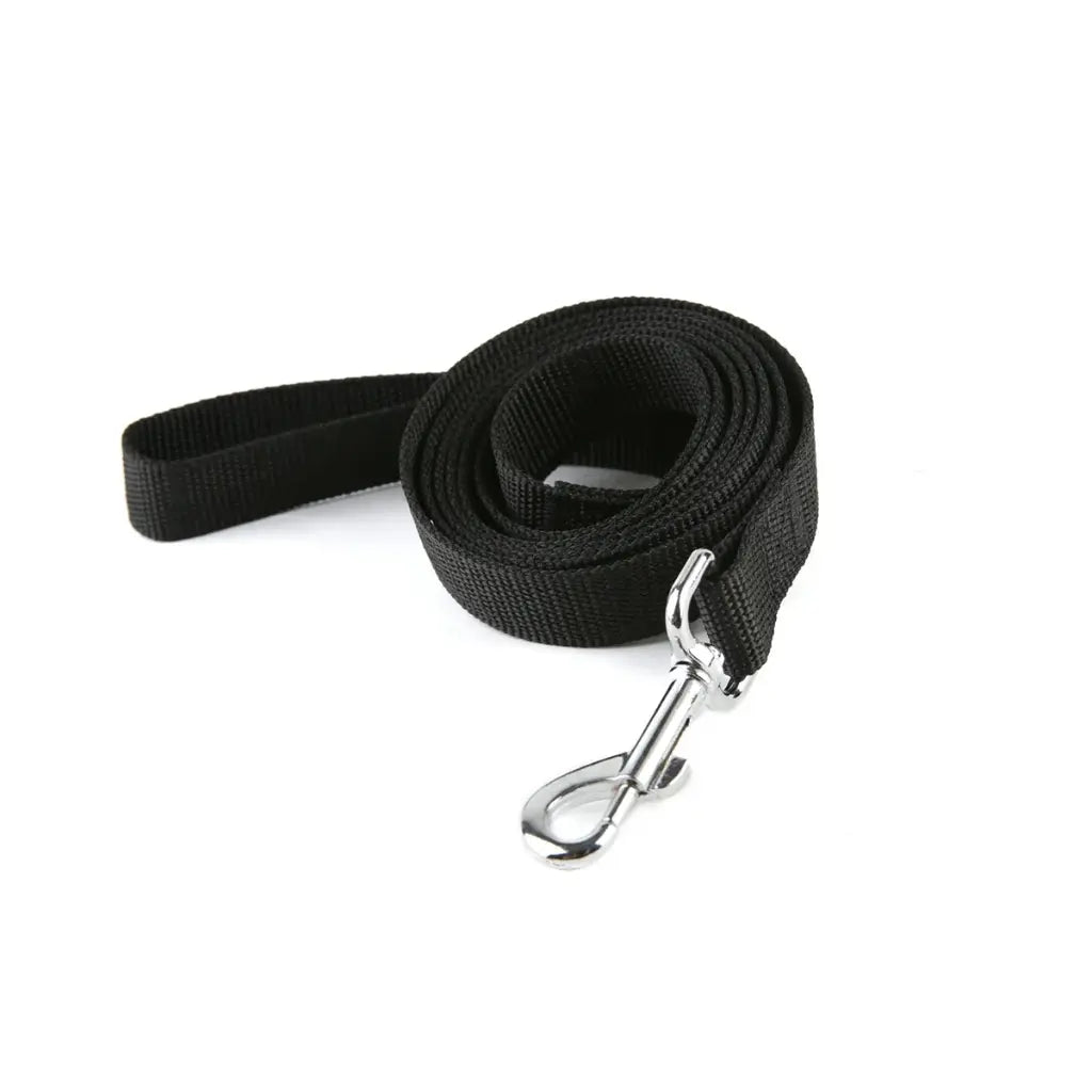 Black dog leash with a metal clip on a white background